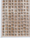 BESNI T4049 GRIS ORO PLATA 200*290 CUADR TAPETE - LN26