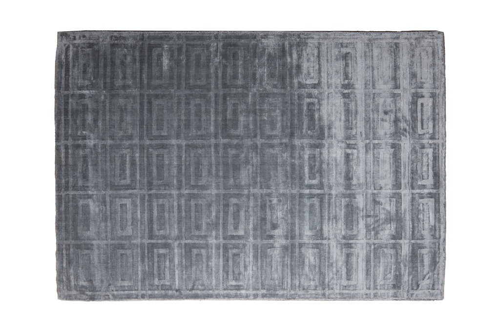 RAIPUR D3006 GRIS 160*230 TAPETE - LN26    - consultar disponibilidad quedan pocos