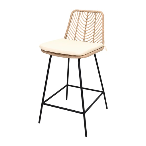 [BANC0904154] GUYANA BANCO COUNTER PARA EXTERIOR (BARBADOS) - JM25