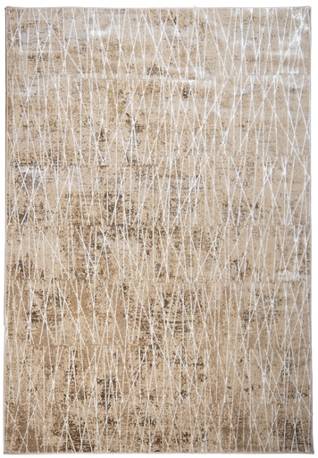 [12552] RIENZ U7029 BEIGE PLATA 160*230 TAPETE - LN26